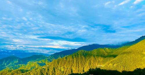 Dalhousie Hotel | Hotel Brownie - Best Selling Hotel In Dalhousie