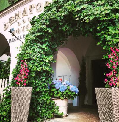 Zamosc Hotel | Hotel Senator