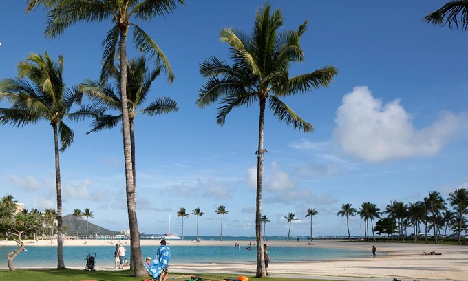 Waikiki Hotel | Ilikai Lite