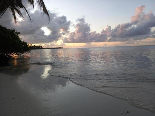 Fiyoari Island House | Iruka Guesthouse