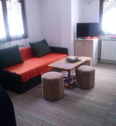 Jahorina Apartment | Jahorinska planinska kuća