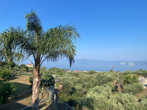 Diasella Apartment | JTverga SEA VIEW HOMES A2 with Parking