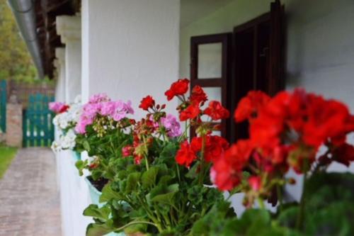 Hetvehely House | Kán-Forrest House with a View