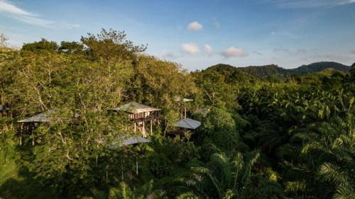 Chong Hotel | Kachonghills Tented Resort Trang