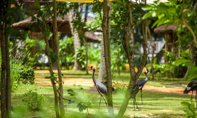 Bingerville Hotel | Kafolo Lagoon