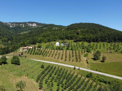Montenegro House | Kljajevica Orchard