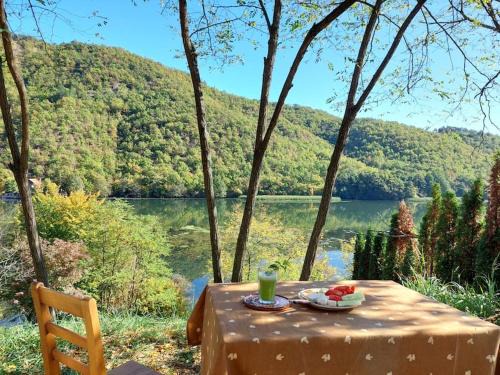 Central Serbia House | "Kod dva kestena"Warm and cozy house with lake view sauna