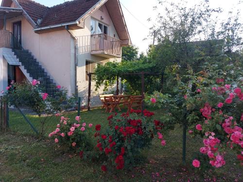 Pozega House | Kuca - STUDIO