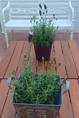 Barig Apartment | L'hotelet 16 Rural loft