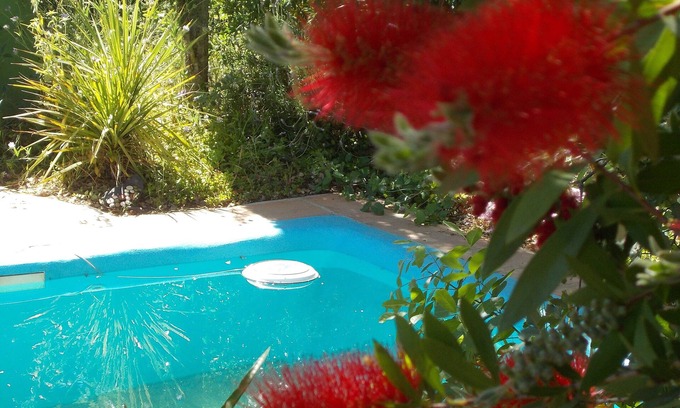 Zafarraya House | La Carpa.Bigtop in a woodland setting