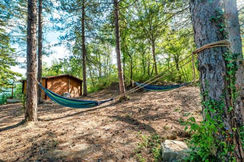 Assisi Apartment | La casetta nel bosco