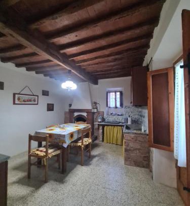 Capannori House | La Corte del Tadde