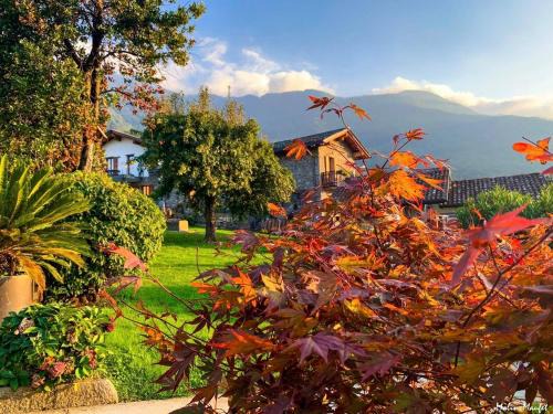 Colico House | La Roggia - Historic Molino Maufet Watermill - Lake Como