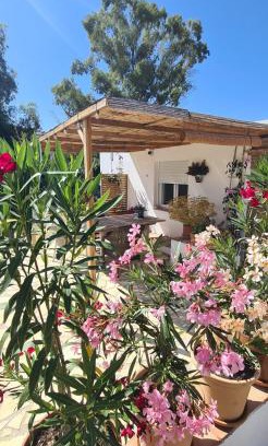 Alhaurin el Grande Apartment | La Sureña
