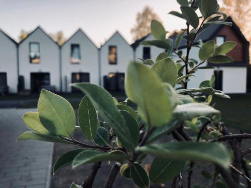 Mrzezyno Apartment | Laba