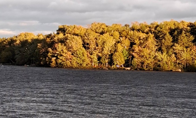 Ellsworth Cottage | Lake front