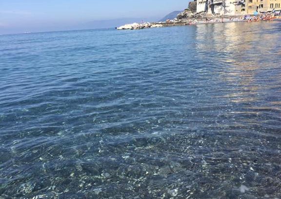 Camogli House | LaMarina