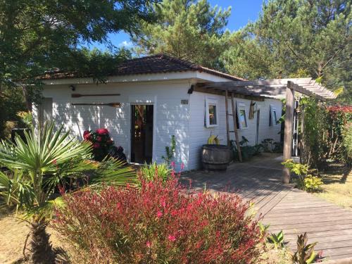 Lit-et-Mixe Ski Chalet | LANDES CHALET 8 personnes