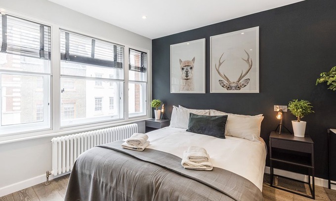 Chinatown Apartment | LARGE BOUTIQUE STUDIO/1-BED IN CHINATOWN