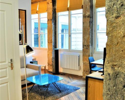 Terreaux - Bat d'argent Apartment | Le Bleu hypercentre Presque île