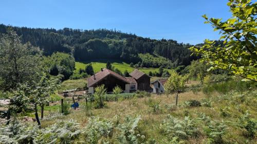 Le Tholy Ski Chalet | Le Chalet Vosges Montagne
