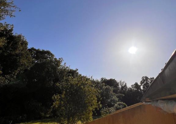 Punta Ala Apartment | Le Mimose