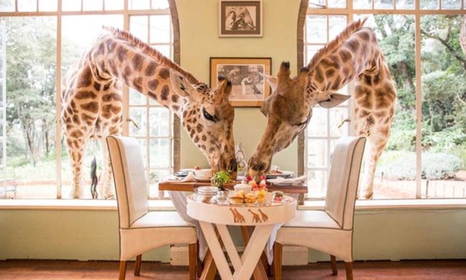 Nairobi House | LEON VILLAS GUEST HOUSE