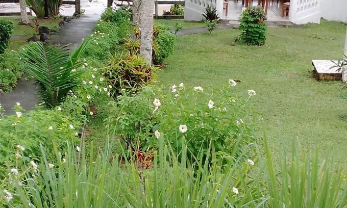 Kribi Apartment | Les baleines