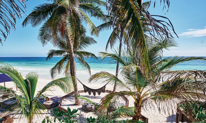 Zona Hotelera Hotel | Libelula Tulum Beachfront Hotel