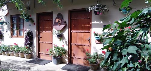 Nuwara Eliya House | Lily Bank Cottage