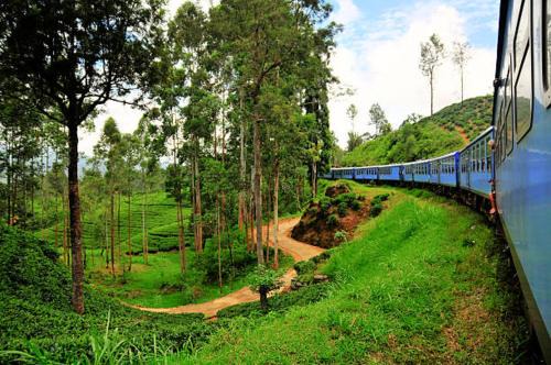 Nuwara Eliya Hotel | Little Heaven Villa
