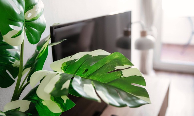 Locarno Apartment | Locarno City Apartments