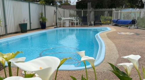 Albion Park Rail Apartment | Location Location Location
