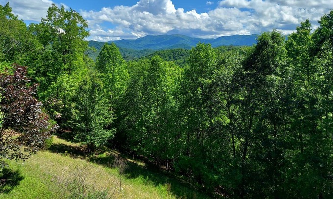 Franklin Cabin | Log Cabin Beauty with Stunning Smoky Mountain Views