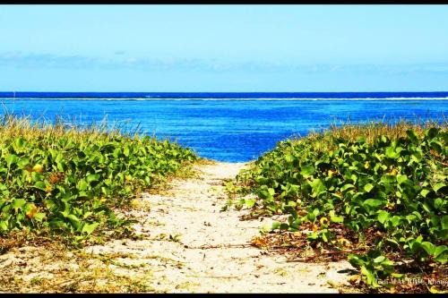 La Saline Les Bains Apartment | Logement bord de mer