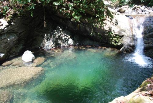 Tres Rios Hotel | Lost Pools Bungalow at Sloth
