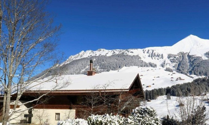 Lauenen Apartment | Lovely apartment for 4 people with WIFI and balcony