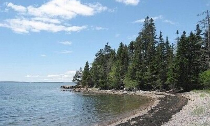 Bernard House | Luxury Home with Spectacular Ocean Views in quiet setting near Acadia Nat'l Park