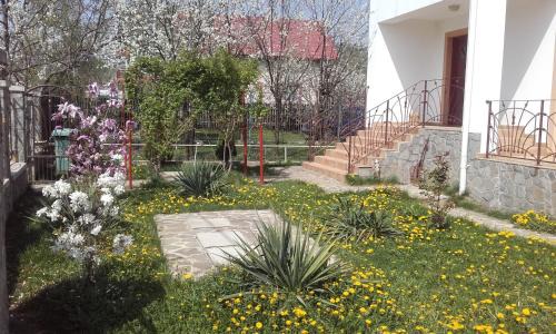 Cornu House | Lycorn