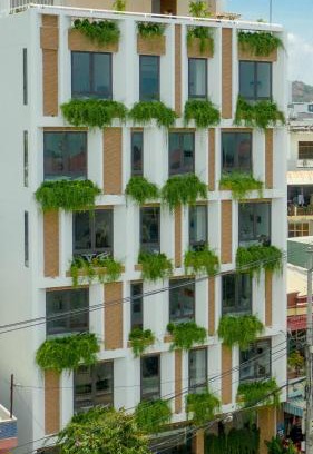 Quy Nhon Hotel | Mỹ Nhân Hotel