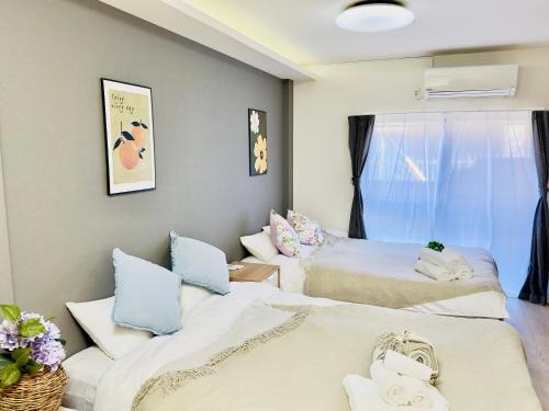 Ikebukuro Apartment | M Ikebukuro mezon103