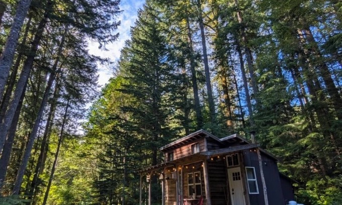 Ashford Cabin | Magical Woodland Retreat just 8 miles from Mount Rainier national Park!