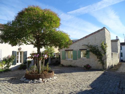 La Flotte House | Maison Salicorne