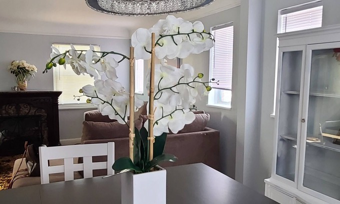 Detroit House | "Make Memories in Detroit: Reserve Your Dream Rental Today!"