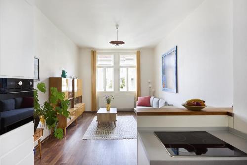 Bubenec Apartment | Mama's apartment in Letna