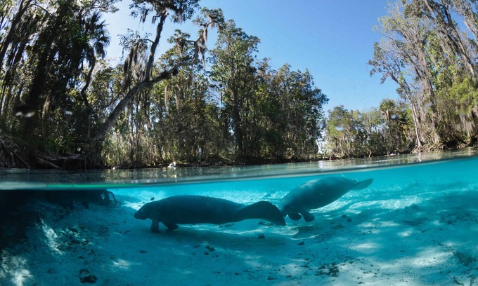 Crystal River House | Manatee Memories Waterfront Pool Home Kayak, Boat Slip, Sleeps 14, Crystal River