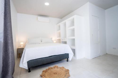 Uvita Apartment | Mango Coliving Apartments for Digital Nomads
