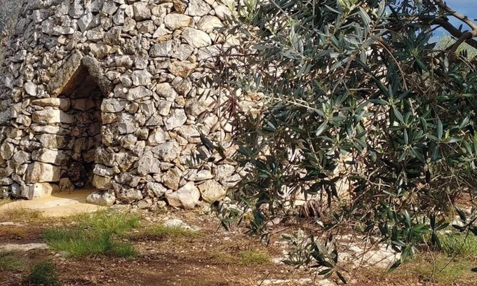 Sannicola House | Masseria la Maestà Ospitalità rurale