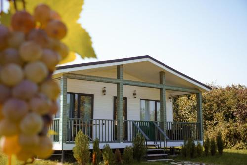 Tsinandali House | Matilda Village
