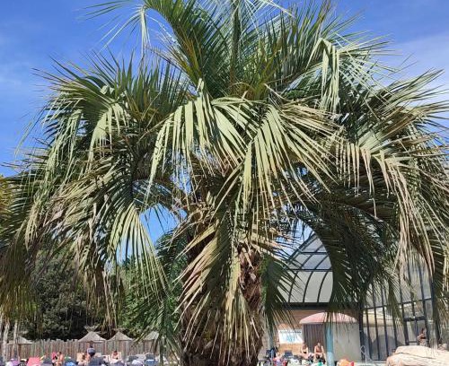 Les Mathes Other | MH LA PINEDE